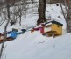 Mountain beekeeping