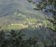 Passeggiata nel bosco